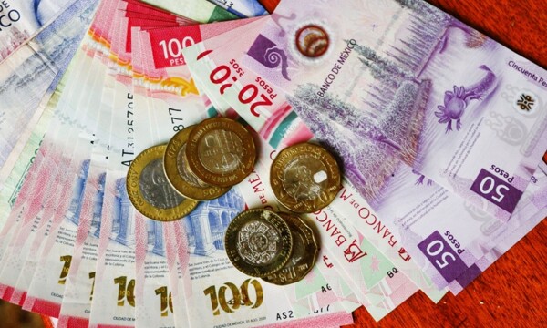 Сенат одобряет реформу минимальной заработной платы