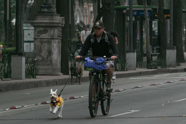 Weather Forecast for Mexico City: No Rain Expected