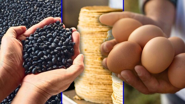 Увеличение базовой продуктовой корзины в Нуэво-Леоне