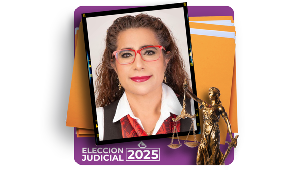 Irma Guadalupe García Mendoza: Candidacy for Supreme Court
