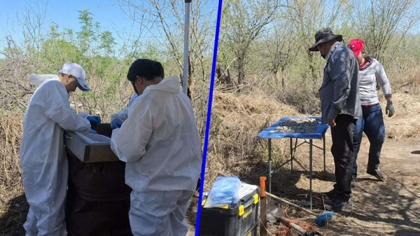 Investigation into Alleged Extermination Camp in Reynosa