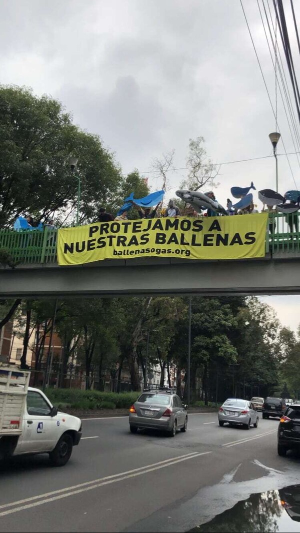 Протест против газопровода Сьерра-Мадре в Мексике