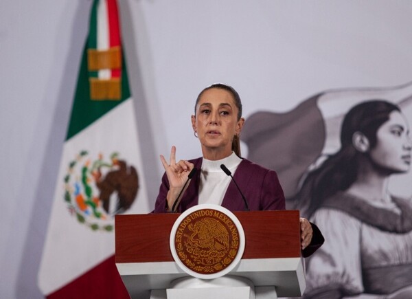 谢因鲍姆批评州长妻子的候选人资格