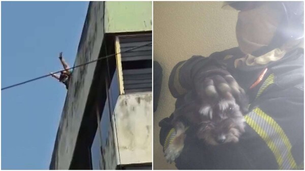 Fire and Attack in Mexico City: Evacuation and Casualties