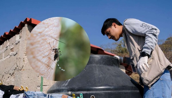 Jalisco Intensifies Dengue Prevention Measures Ahead of Rainy Season