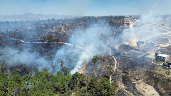 Forest Fire in El Centinela Reported Active