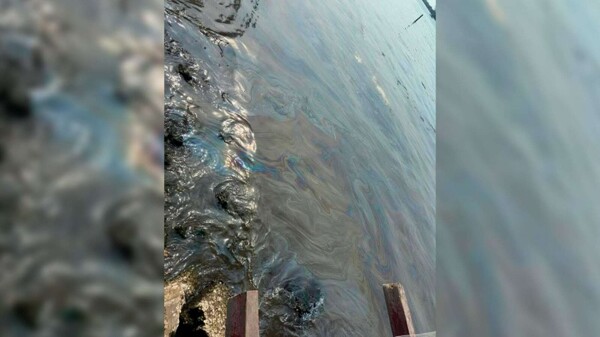 Environmental Crisis in Paraíso, Tabasco