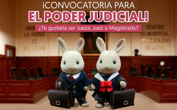 Controversy Over IMJUVE's Judicial Campaign
