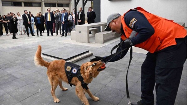 FES Iztacala Evacuated Due to Explosive Threat