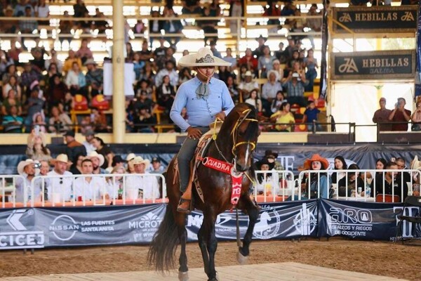 Celebration of the International Horse Festival 2025