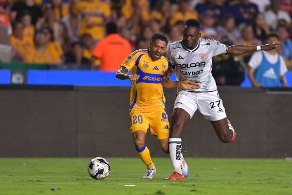Quarterfinals of Liga MX: Necaxa vs Tigres