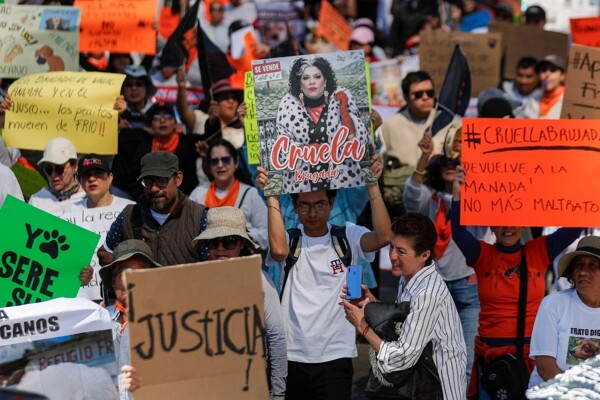 Court Orders Return of Animal Shelter Land in Mexico City