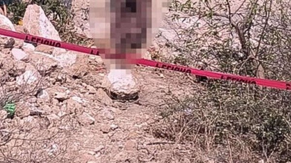 Violent Death of Ex-Mayor's Father in Tecamachalco