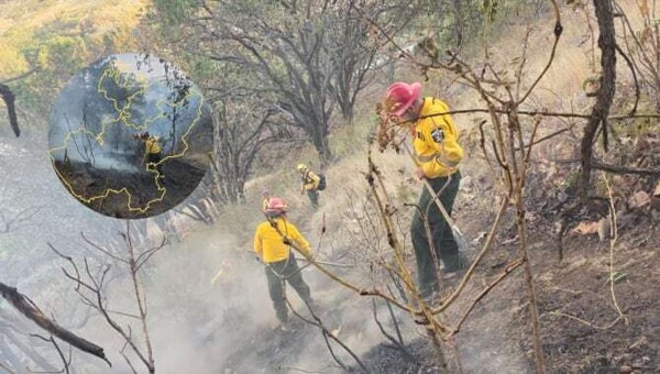 Cuatro incendios forestales registrados en Jalisco