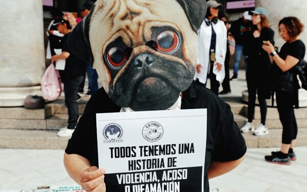 Veterinarians Protest Against Violence in Mexico City