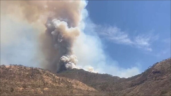 Emergency Alert Activated Due to Forest Fire in Mascota
