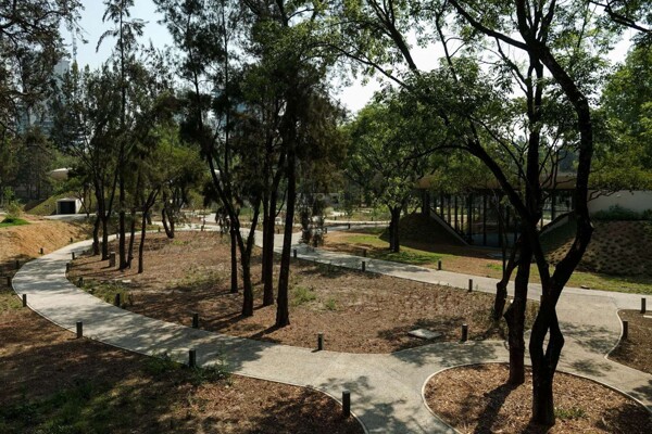 Defense of Chapultepec Forest in Mexico City