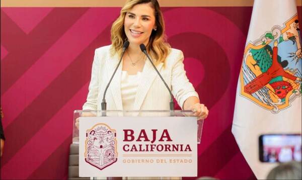 下加利福尼亚州州长谴责前州长的声明