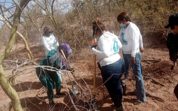 Investigation of clandestine graves in Hermosillo