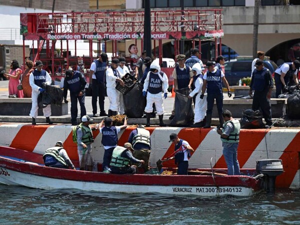 Mexico Collects Nearly 900 Tons of Pollutants After Oil Spill