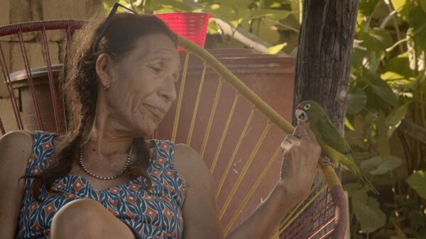 Muestra Oaxaca: Film for Life Workshops