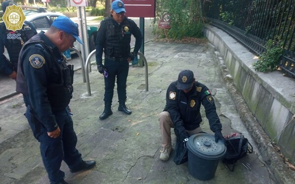 Rescue Operation for Rattlesnake in Chapultepec