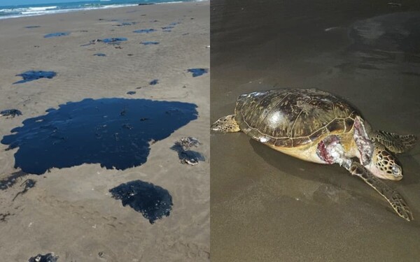 Коренные народы Мексики сообщают о новом разливе нефти