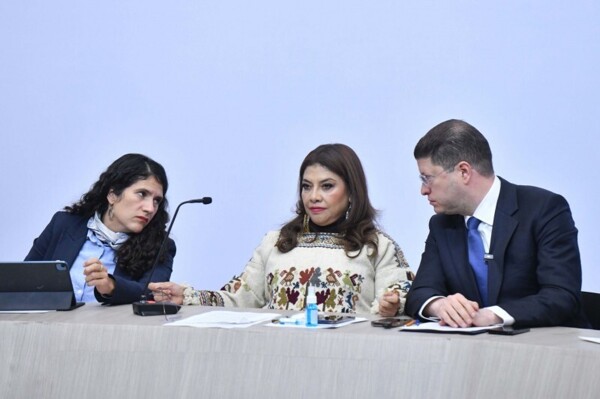 Security in Mexico City: Crime Reduction and Political Polarization