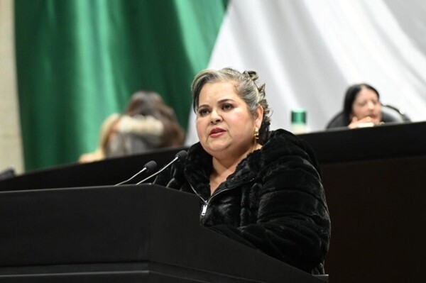 Депутат Мексики возглавит диалог по укреплению национальной повестки в сфере ухода