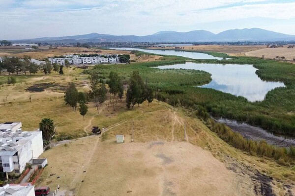 Новый городский лес в Иxtlahuacán de los Membrillos