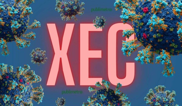 Новая вариация Covid XEC может добраться до Мексики