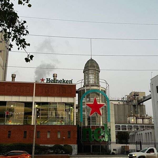Влияние выборов и экономики на результаты Heineken в 2024 году
