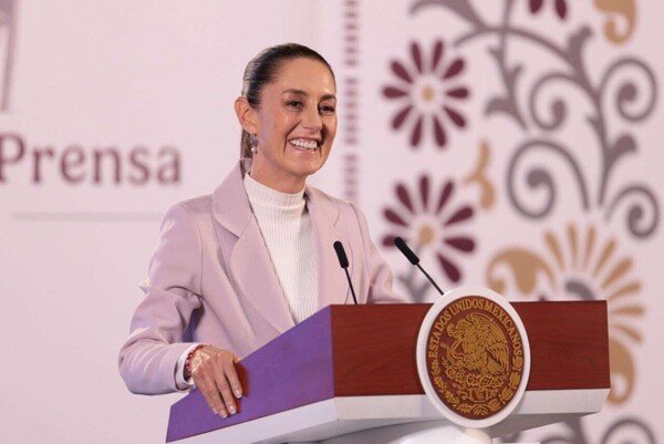 Шейнбаум защищает судебную реформу от критики