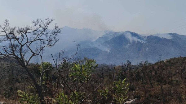 Лесной пожар в национальном парке Эль-Велadero