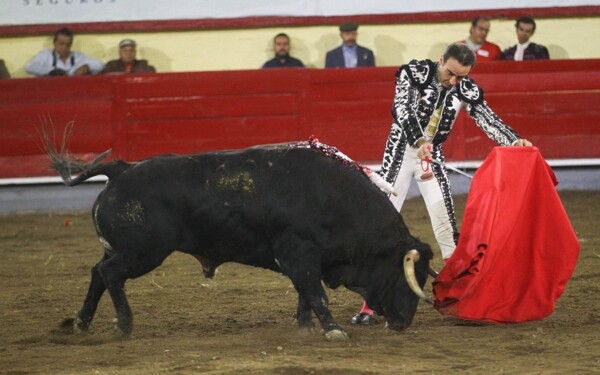 Proposal to Ban Bullfighting in Mexico City