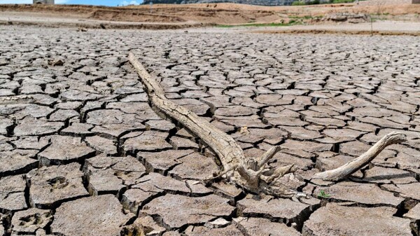 Drought Emergency in Querétaro