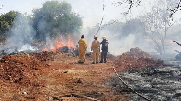Fires in Santa Catarina Deteriorate Air Quality