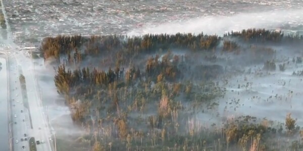 Два лесных пожара поглотили более 100 гектаров в Майами-Дейд
