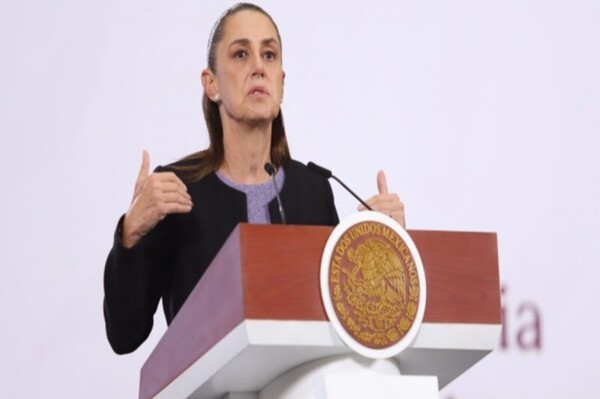 谢因鲍姆对圣金廷立法者的行为表示不满