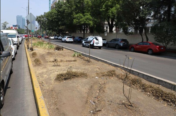 Deterioration of Green Areas on Key Avenues in Mexico City