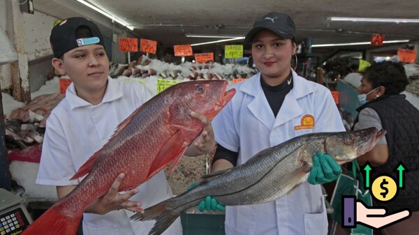 Increase in Fish Prices Alerts Mexican Consumers