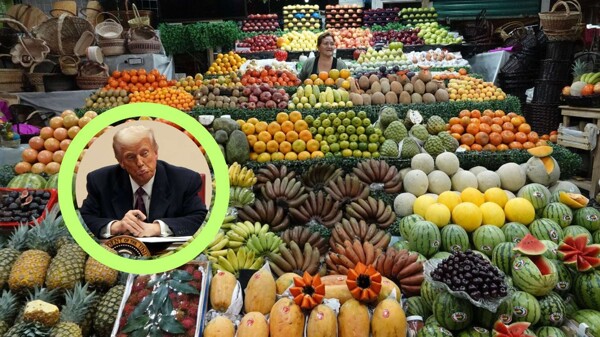 Возможное повышение цен на базовую продуктовую корзину в Мексике