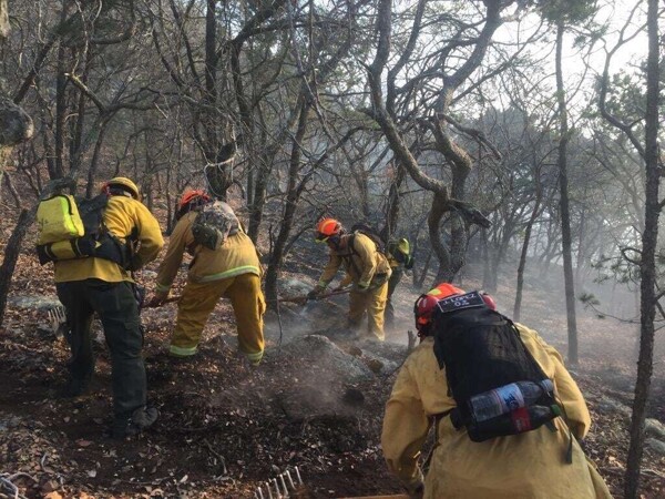 Increased Fire Risk in Guanajuato