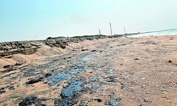 Hydrocarbon Contamination in Tabasco