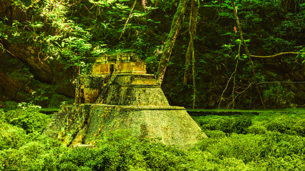 Ancient Maya City Discovered in Mexican Jungle