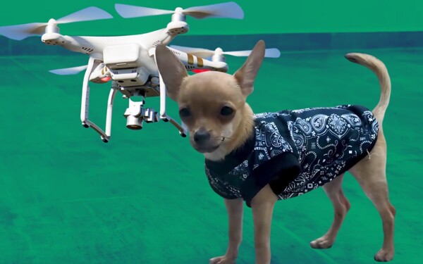 Investigation Launched After Dog is Lifted by Drone