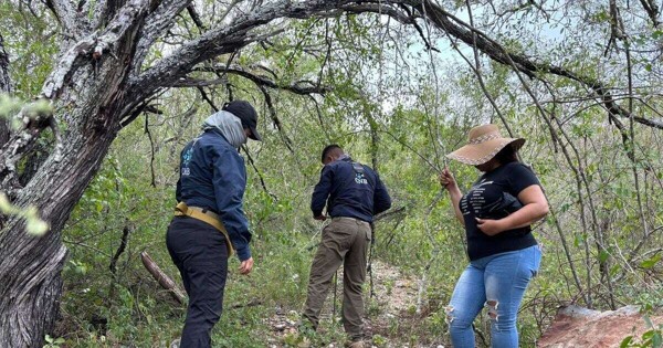 Активисты критикуют прокуратуру Керетаро