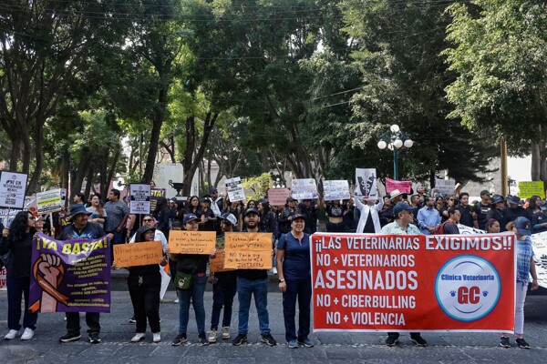 Veterinarians March for Justice in Puebla