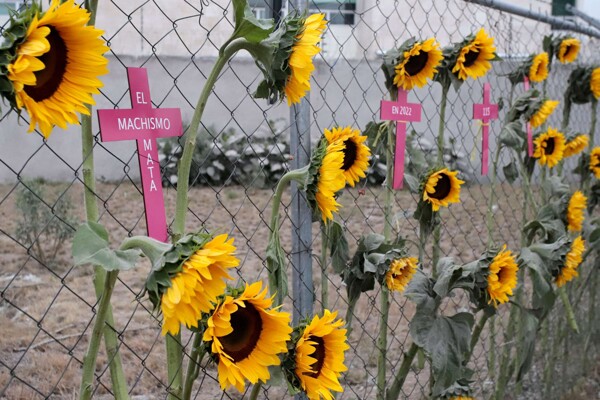 Mexico's Commitment to Women's Rights in Puebla