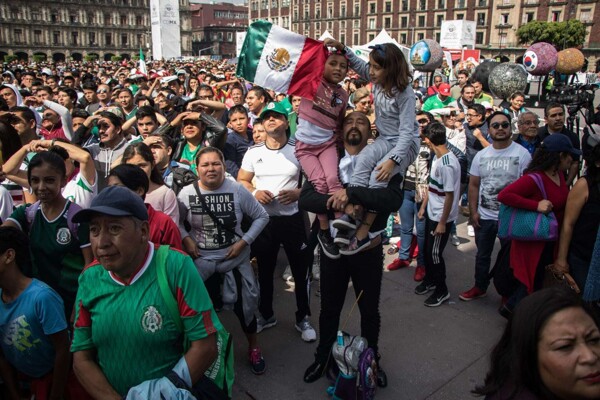 Distrust in Surveys in Mexico